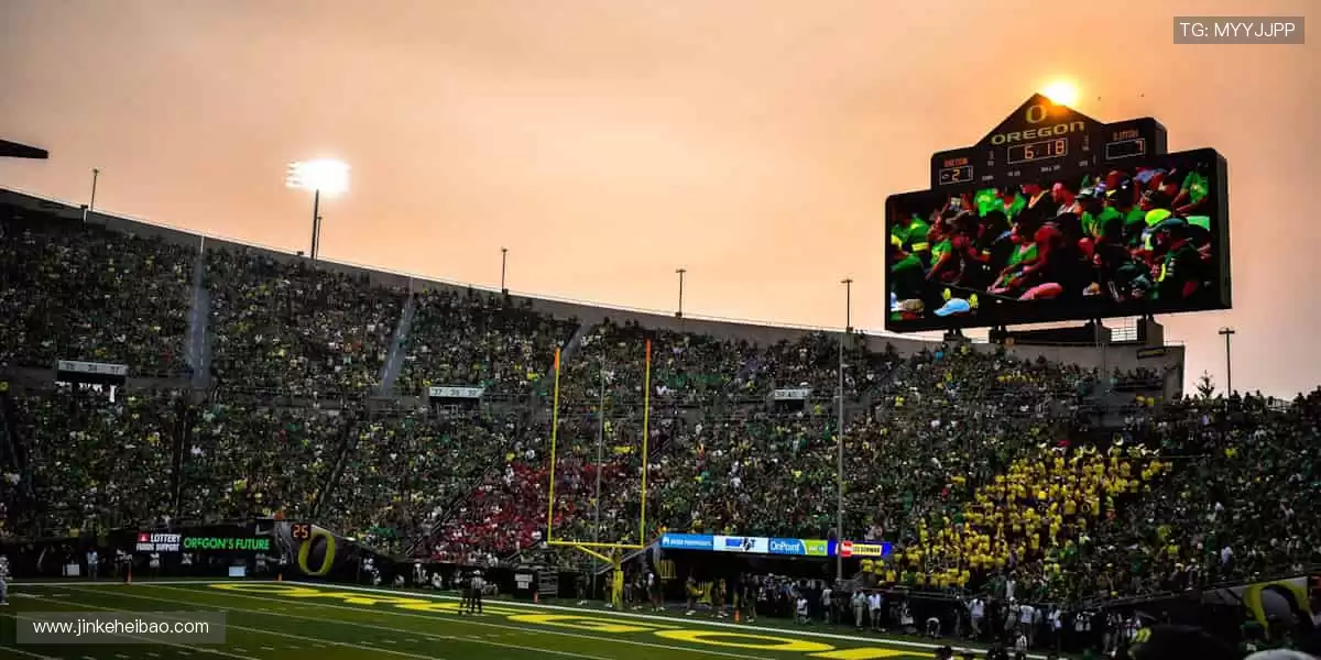 一键解锁全球赛事，让热爱永不缺席⚽️